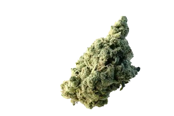 Ice - Indica Dominante
