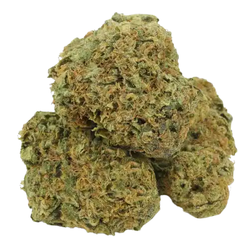 Banana Kush - Indica Dominante