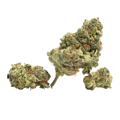 White Fire OG (WiFi OG) - Híbrida