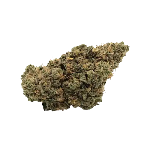 Chocolate Haze - Sativa Dominante
