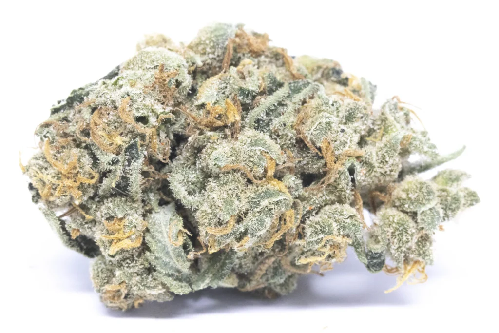 Fat Banana Auto - Indica Dominante