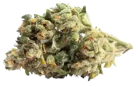 Royal Husk - Híbrida Dominante Indica