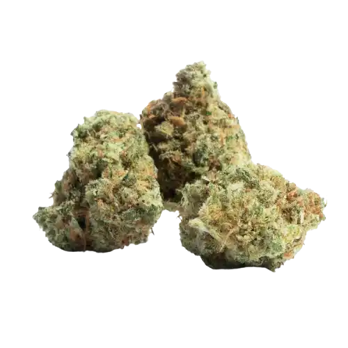 Amnesia Haze - Sativa Dominante